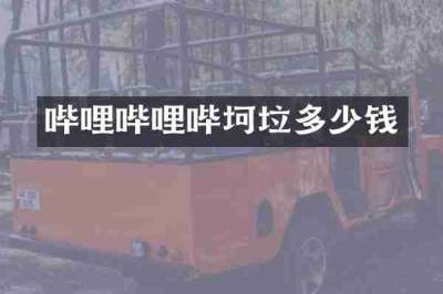 哔哩哔哩哔坷垃多少钱