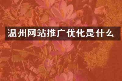 温州网站推广优化是什么