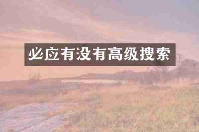 必应有没有高级搜索