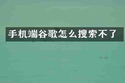 手机端谷歌怎么搜索不了