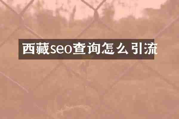 西藏seo查询怎么引流