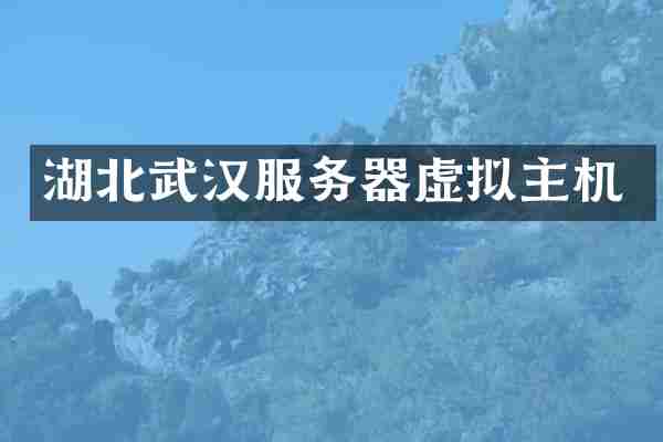 湖北武汉服务器虚拟主机