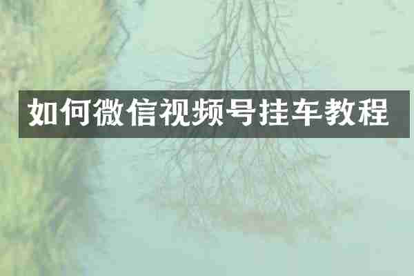 如何微信视频号挂车教程