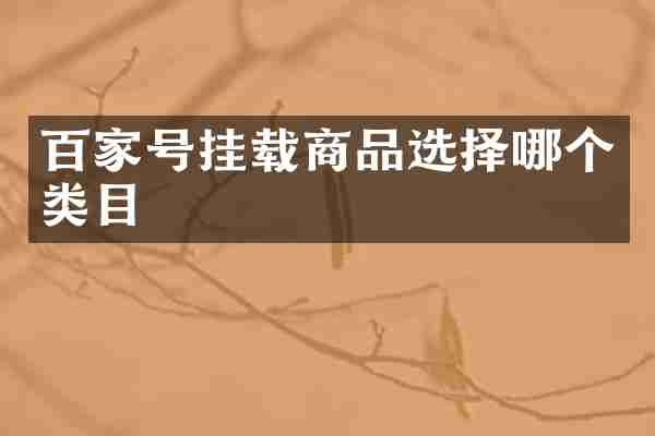 百家号挂载商品选择哪个类目