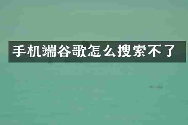 手机端谷歌怎么搜索不了