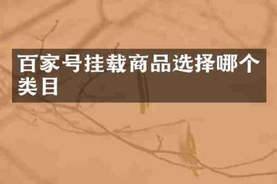 百家号挂载商品选择哪个类目
