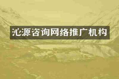 沁源咨询网络推广机构