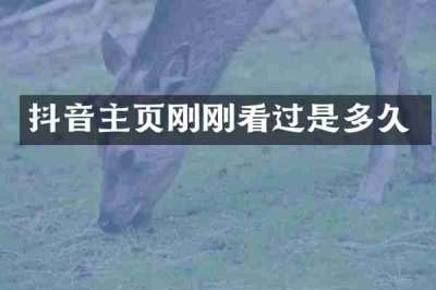 抖音主页刚刚看过是多久