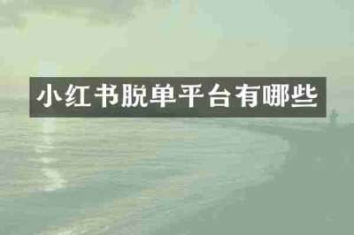 小红书脱单平台有哪些