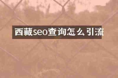 西藏seo查询怎么引流