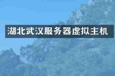 湖北武汉服务器虚拟主机