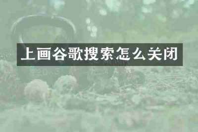 上画谷歌搜索怎么关闭