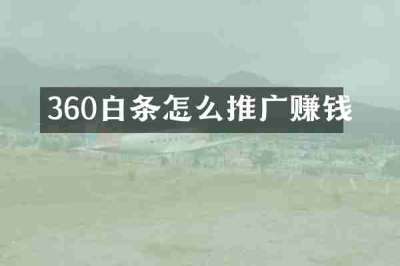 360白条怎么推广赚钱