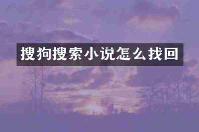 搜狗搜索小说怎么找回