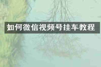 如何微信视频号挂车教程