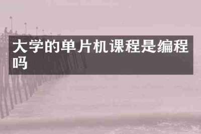 大学的单片机课程是编程吗