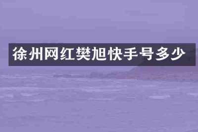 徐州网红樊旭快手号多少