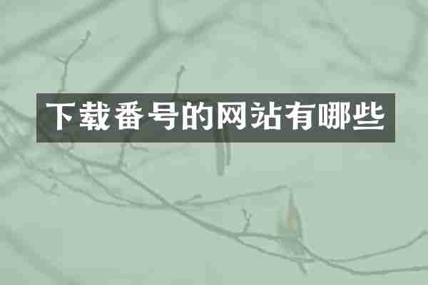 下载番号的网站有哪些
