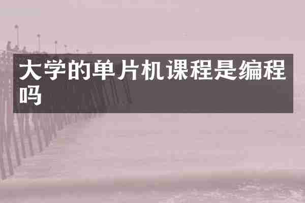 大学的单片机课程是编程吗