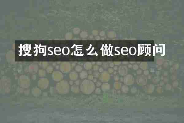搜狗seo怎么做seo顾问