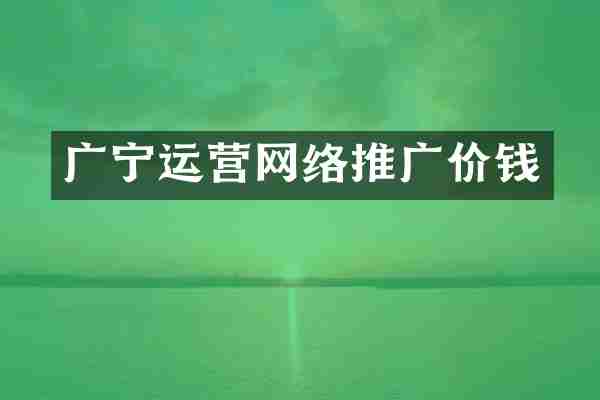 广宁运营网络推广价钱