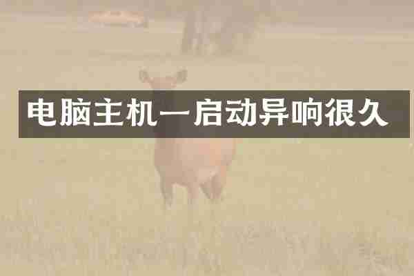 电脑主机一启动异响很久