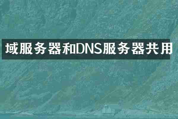 域服务器和DNS服务器共用