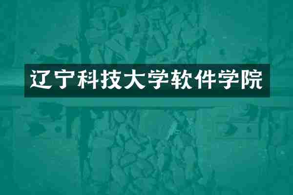 辽宁科技大学软件学院