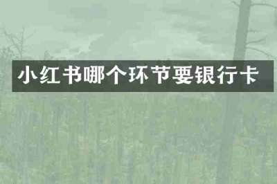 小红书哪个环节要银行卡