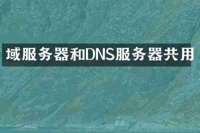域服务器和DNS服务器共用