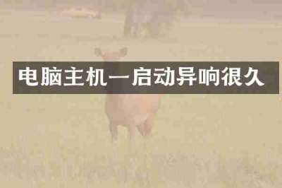 电脑主机一启动异响很久