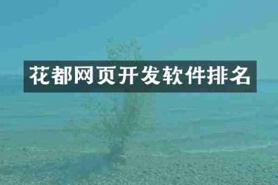 花都网页开发软件排名