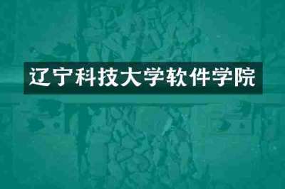 辽宁科技大学软件学院