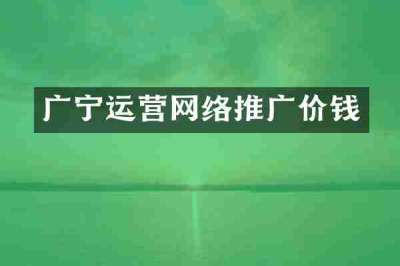 广宁运营网络推广价钱