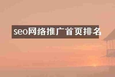 seo网络推广首页排名