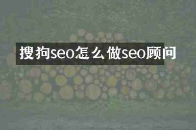 搜狗seo怎么做seo顾问
