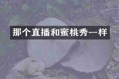 那个直播和蜜桃秀一样