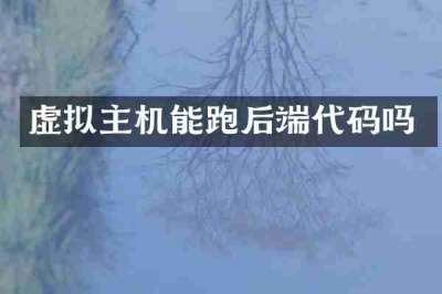 虚拟主机能跑后端代码吗