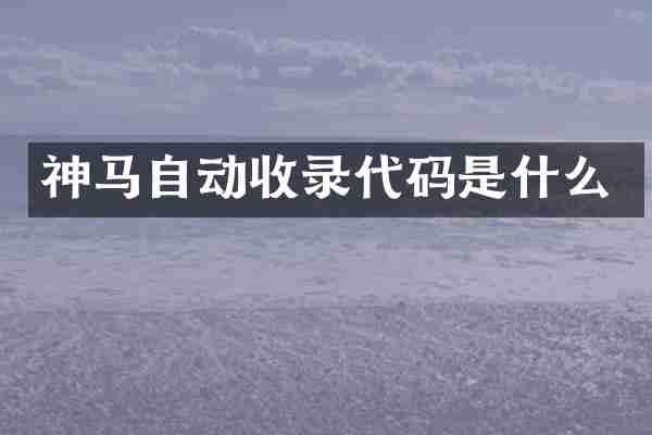神马自动收录代码是什么
