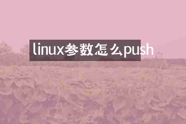 linux参数怎么push