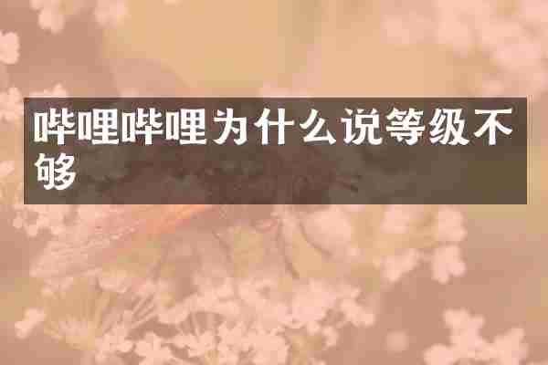 哔哩哔哩为什么说等级不够