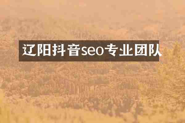 辽阳抖音seo专业团队