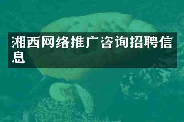 湘西网络推广咨询招聘信息