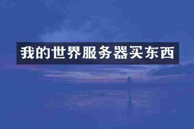 我的世界服务器买东西