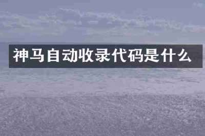 神马自动收录代码是什么