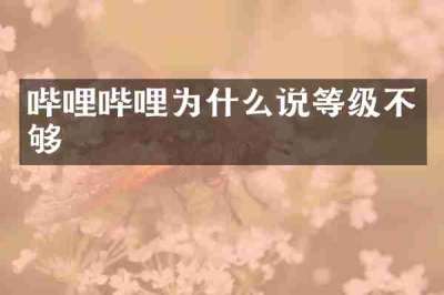 哔哩哔哩为什么说等级不够