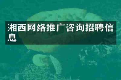 湘西网络推广咨询招聘信息