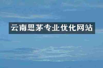 云南思茅专业优化网站