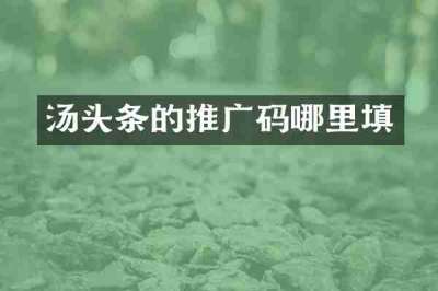 汤头条的推广码哪里填