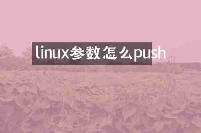 linux参数怎么push